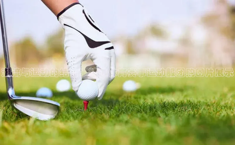 金年会网站入口